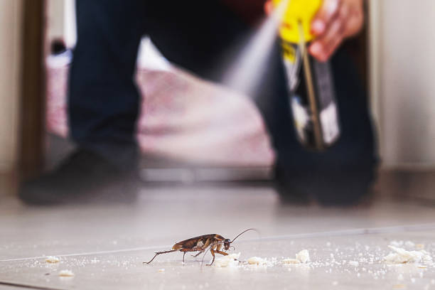 Best Bed Bug Extermination  in Corinth, TX